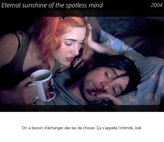 Vignette : Eternal sunshine of the spotless mind